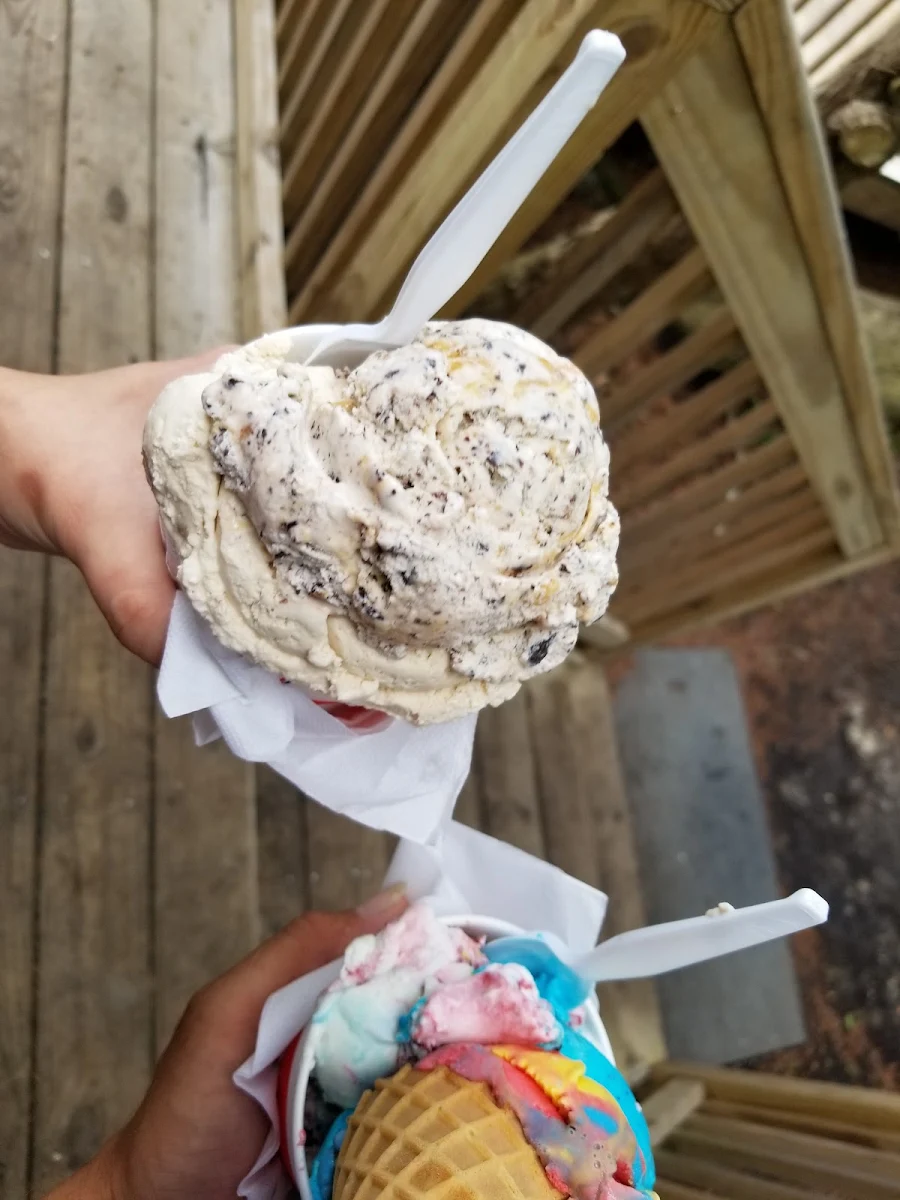 Oatmeal Cookie Ice Cream