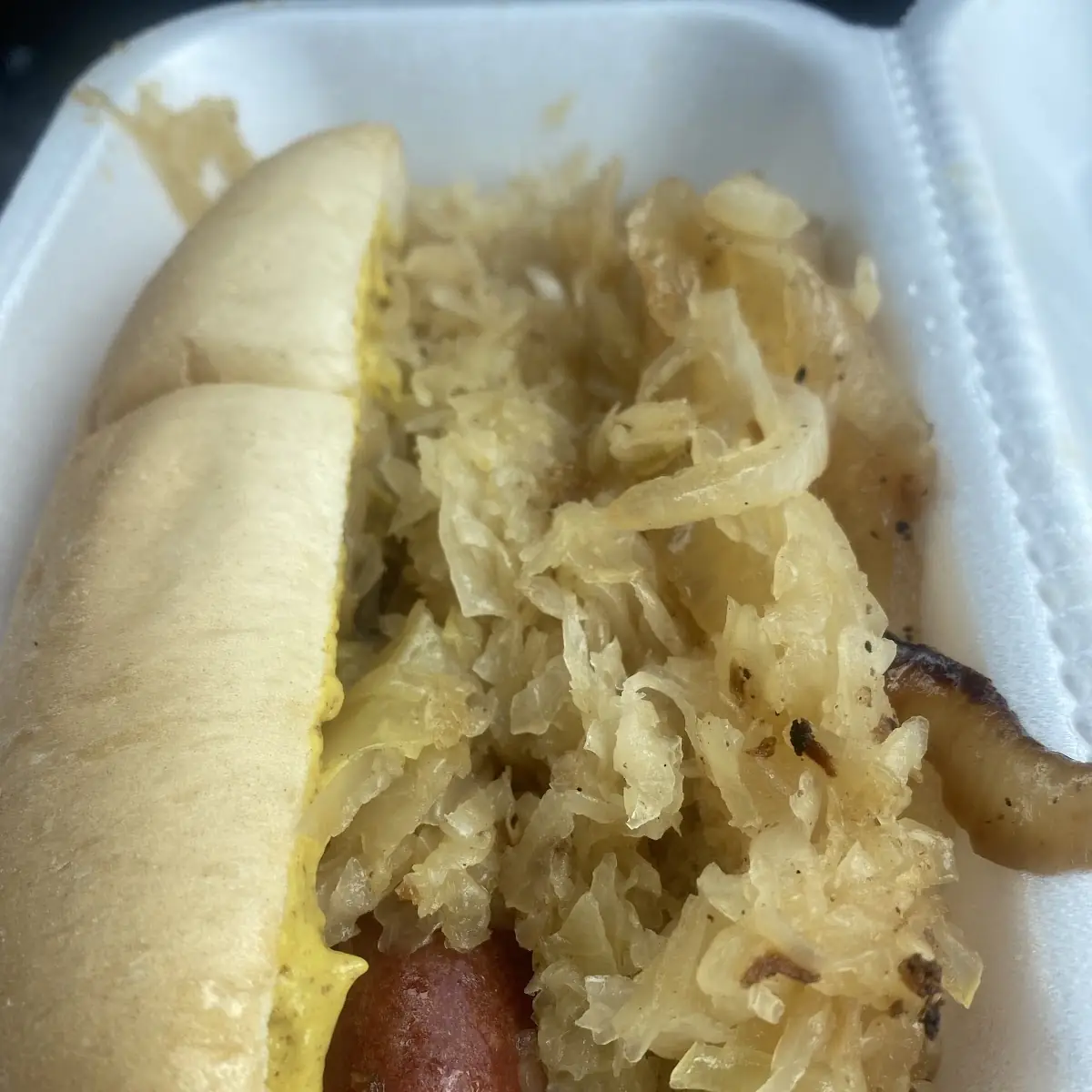 New York Dog