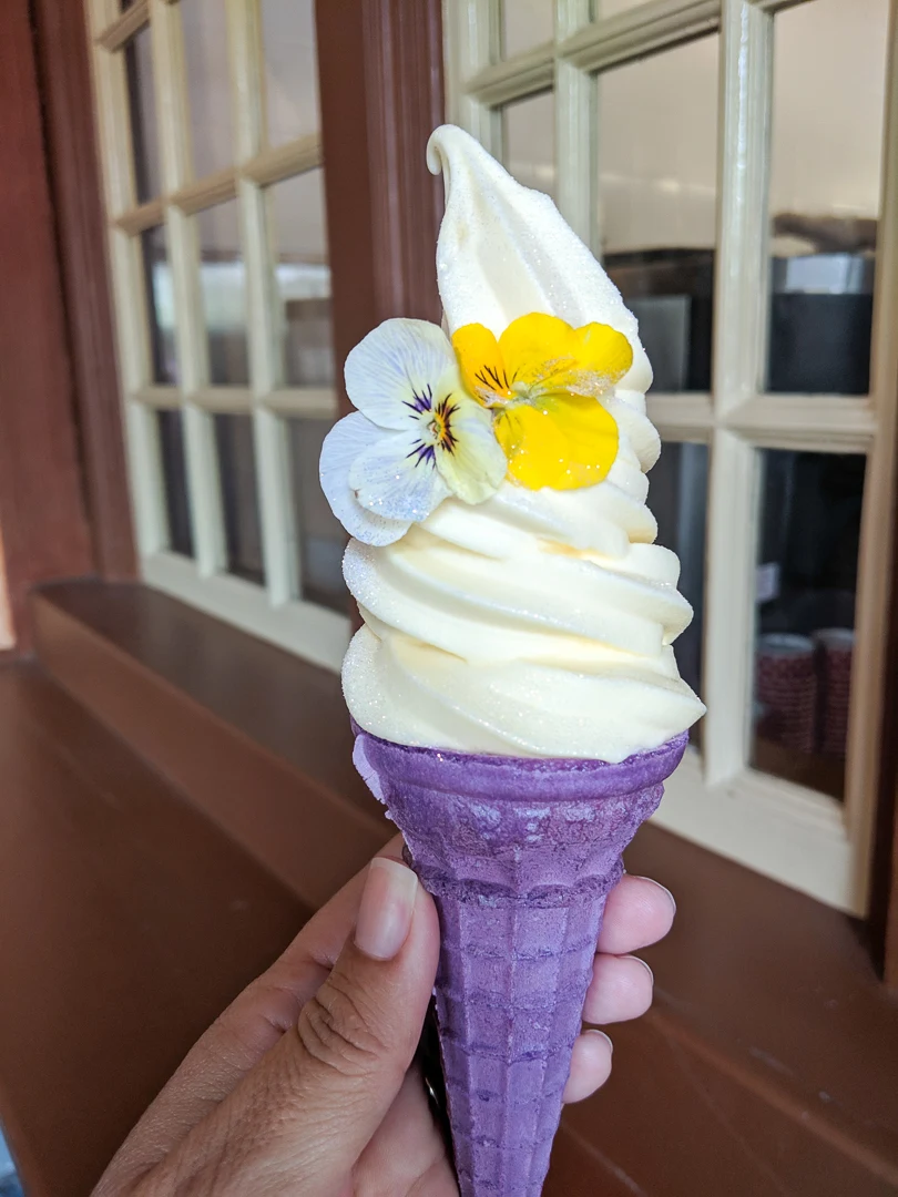 Tangled Soft Serve Ice Cream Cone