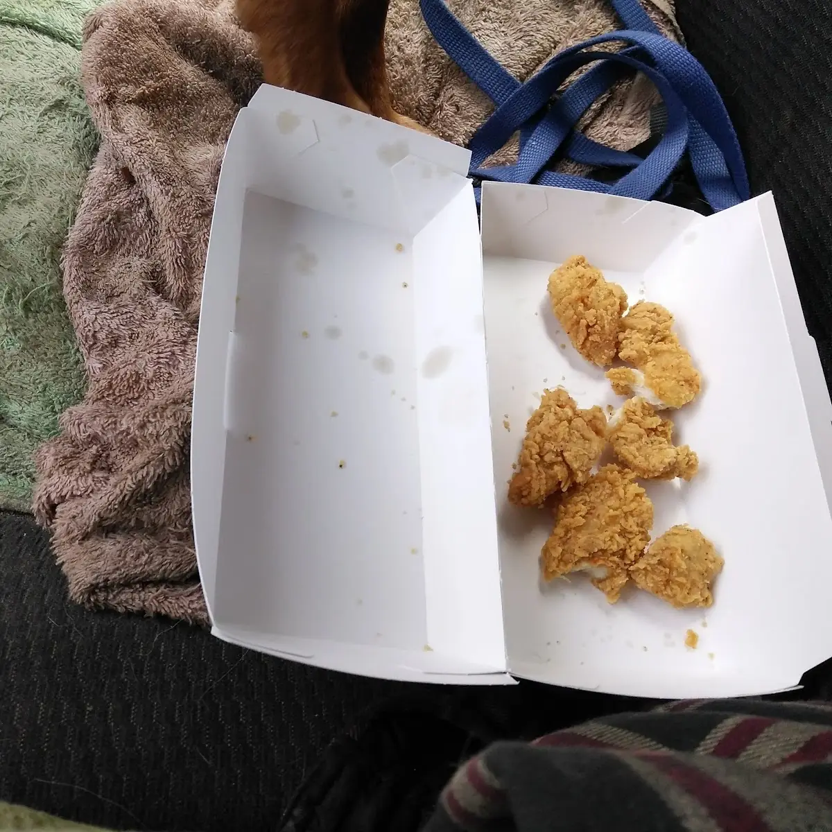 Chicken Nuggets