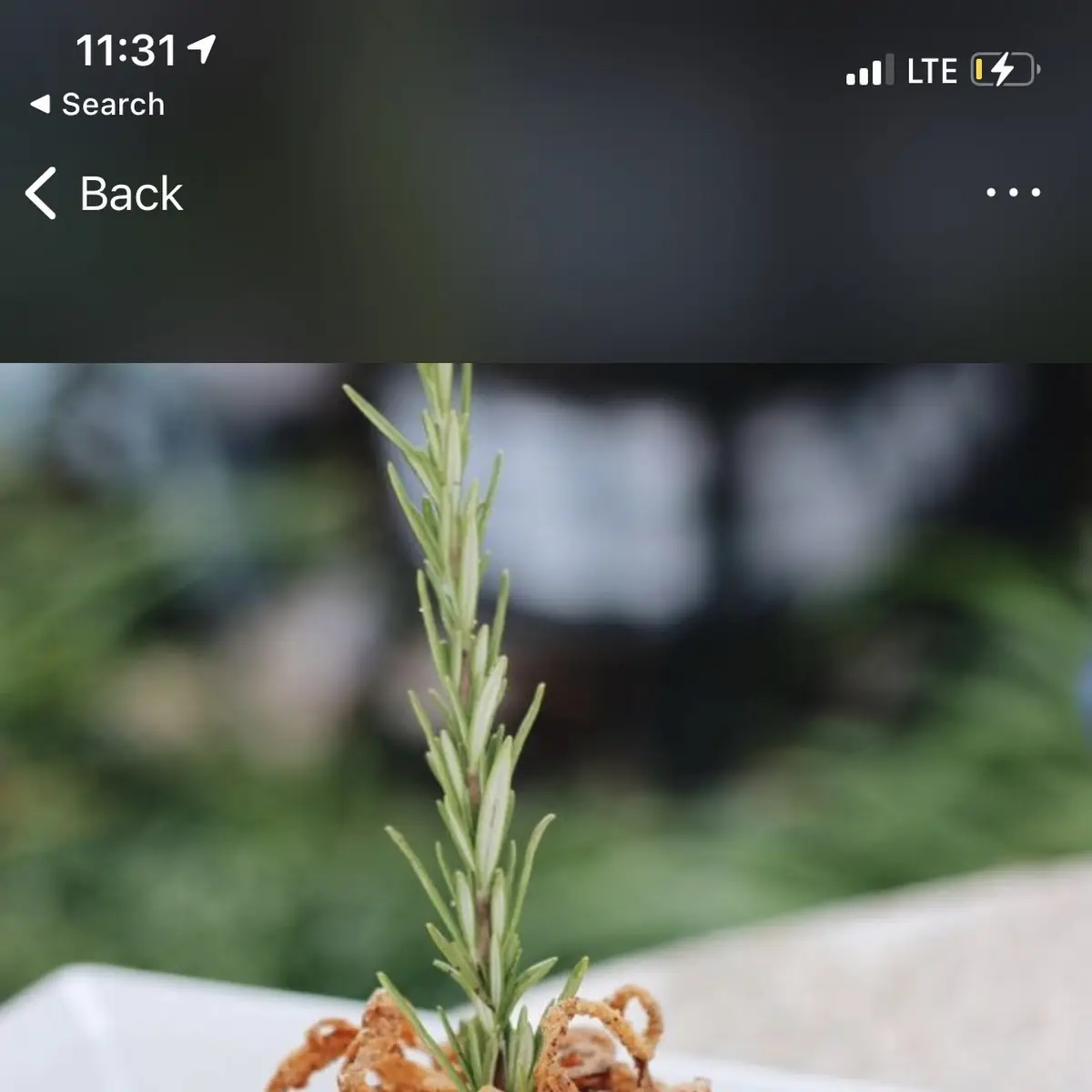 French Onion Braised Short Ribs
