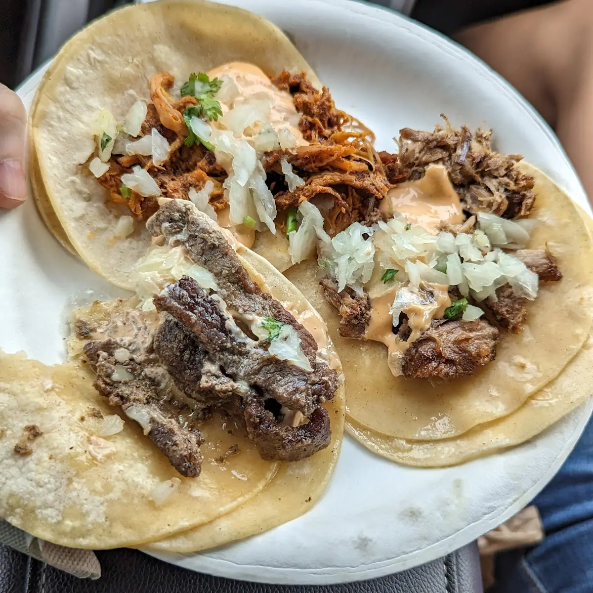 Pork and Chicken Tacos