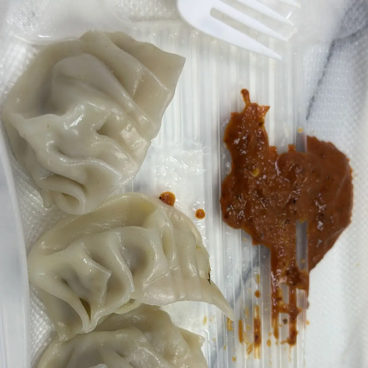 Steamed Dumplings
