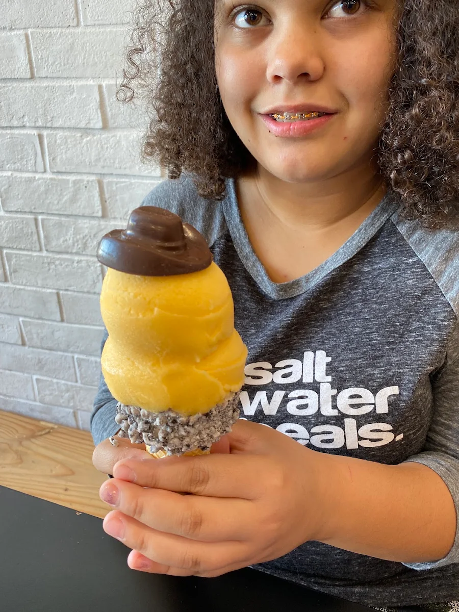 Cookies and Cream Cone