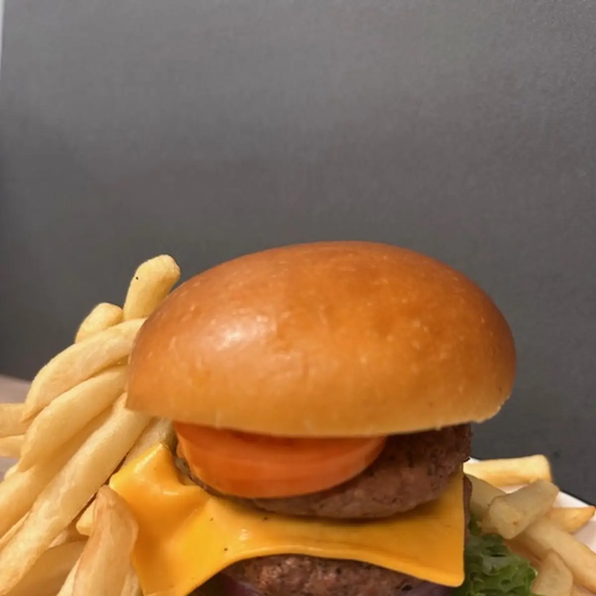 Gyro Burger