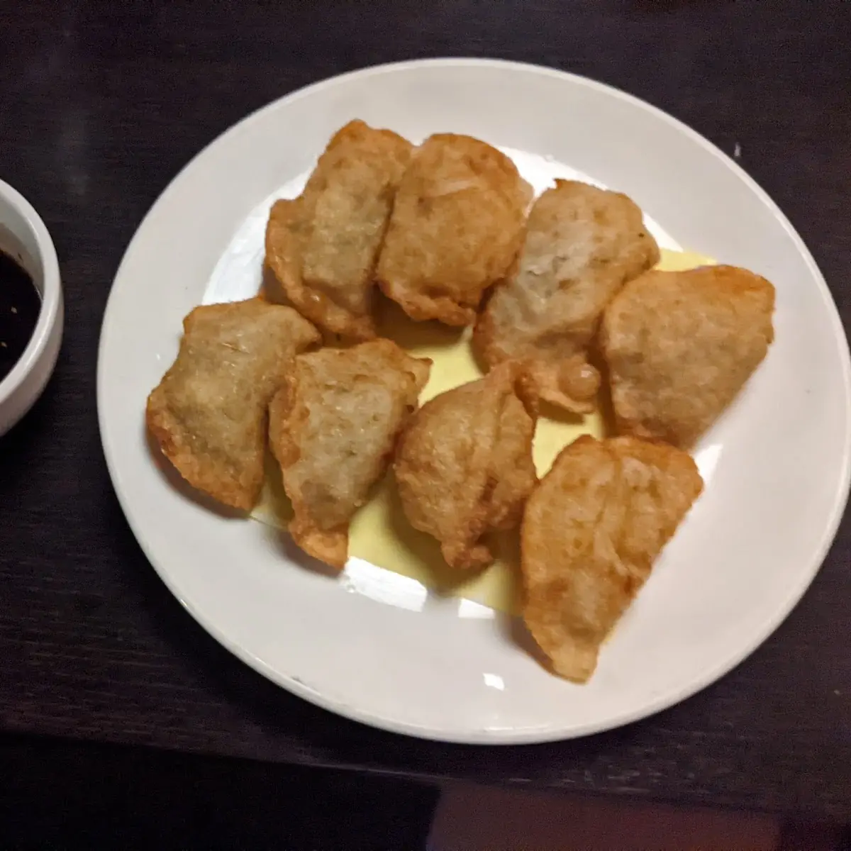 Home Made Fried Dumpling
