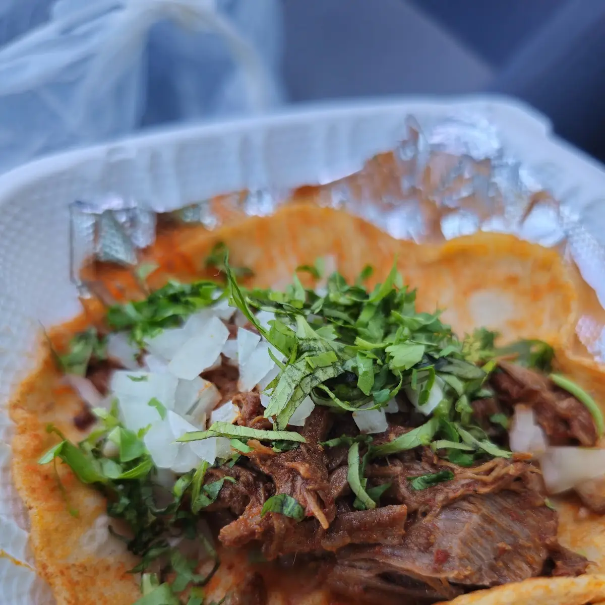Birria Taco