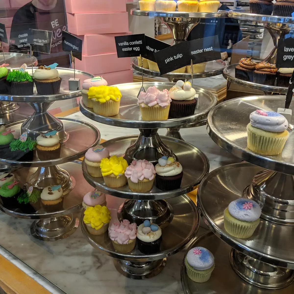 Assorted Mini Cupcakes on Display