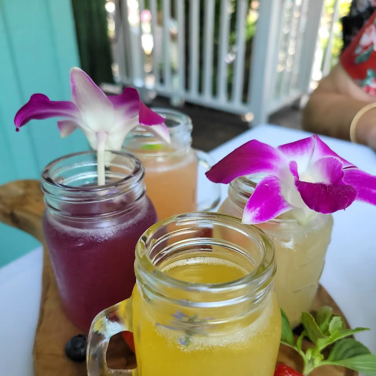 Seasonal Mimosa Flight