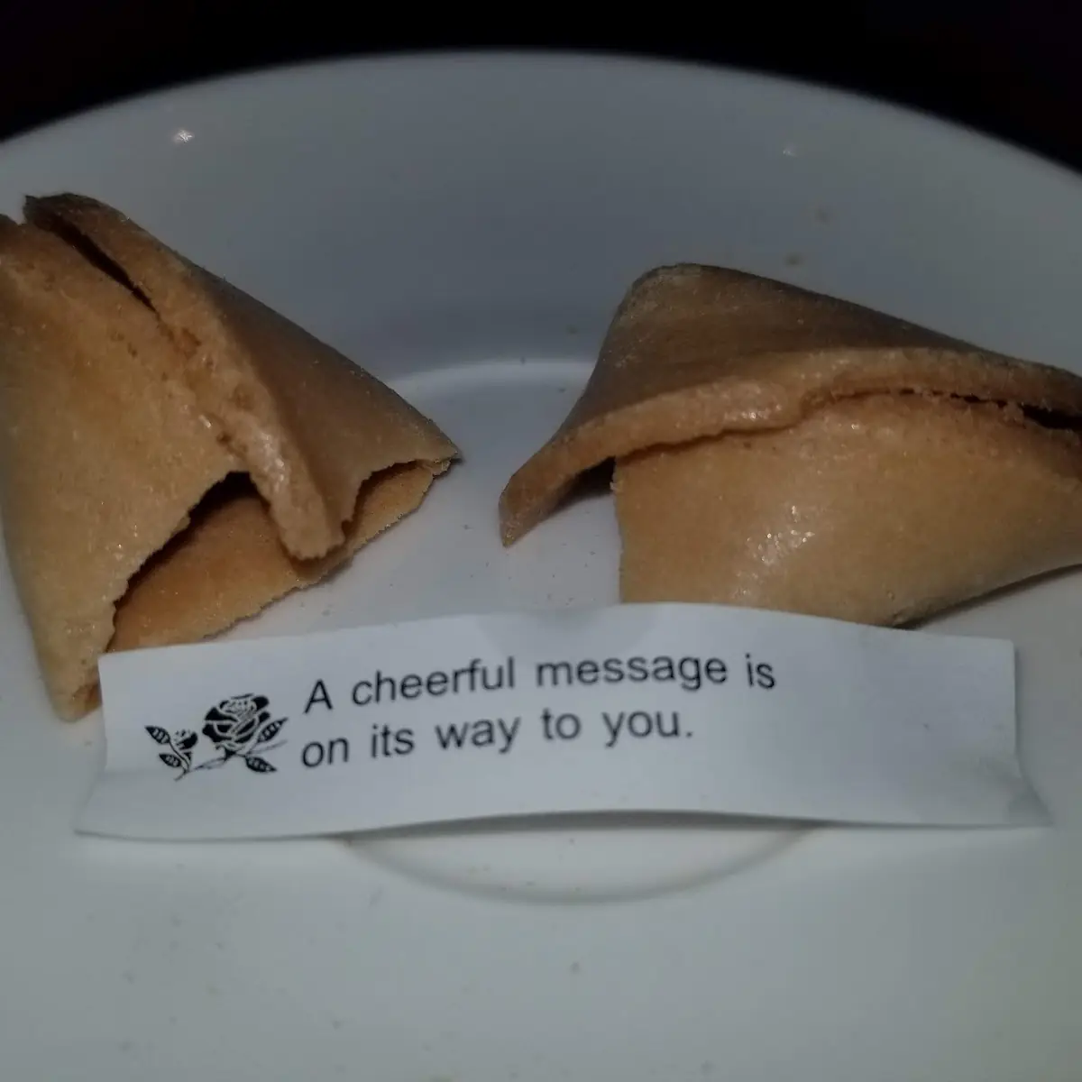 Fortune Cookie