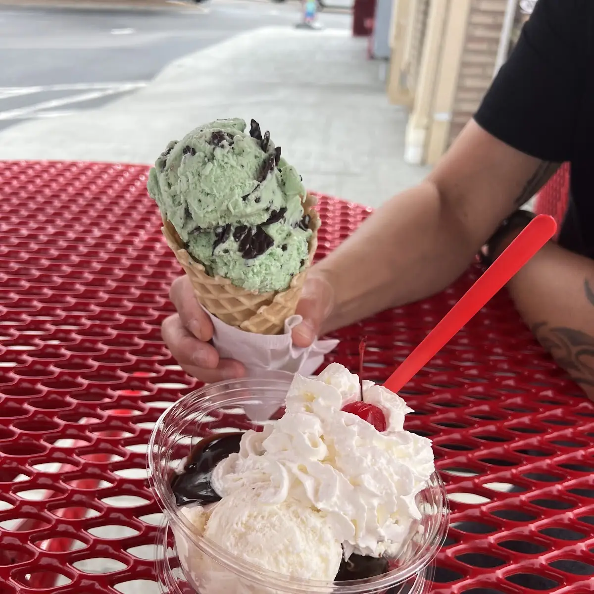 Mint Chocolate Chip