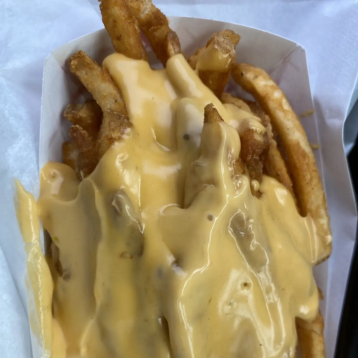 Large Cheese Fries