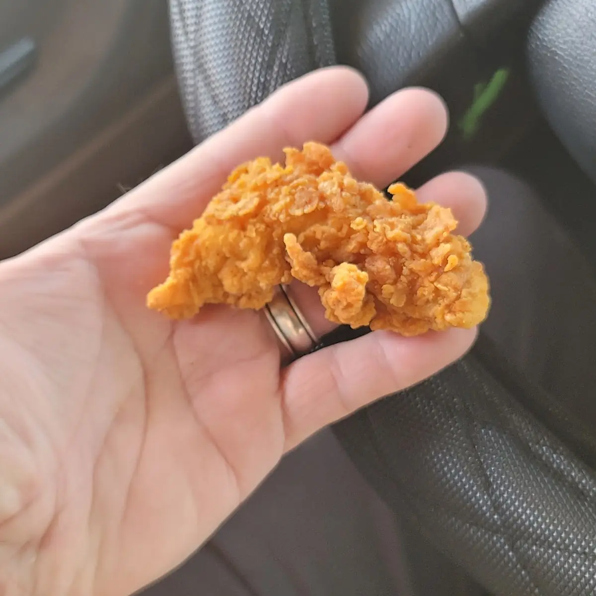 Chicken Tenders