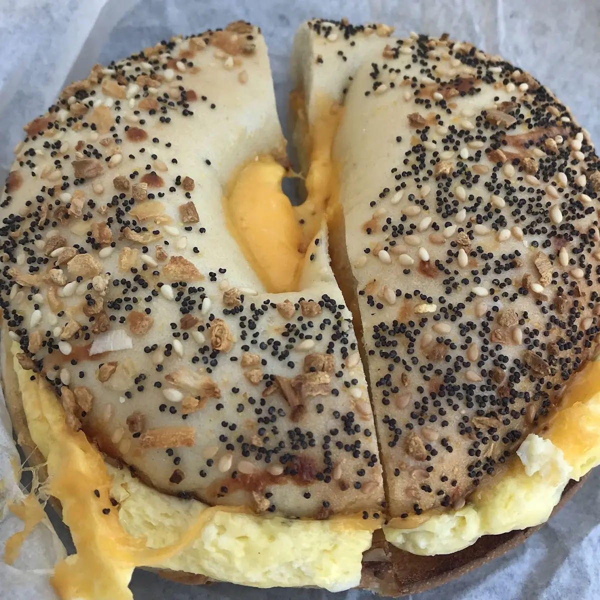 Everything Bagel with Egg and Cheese
