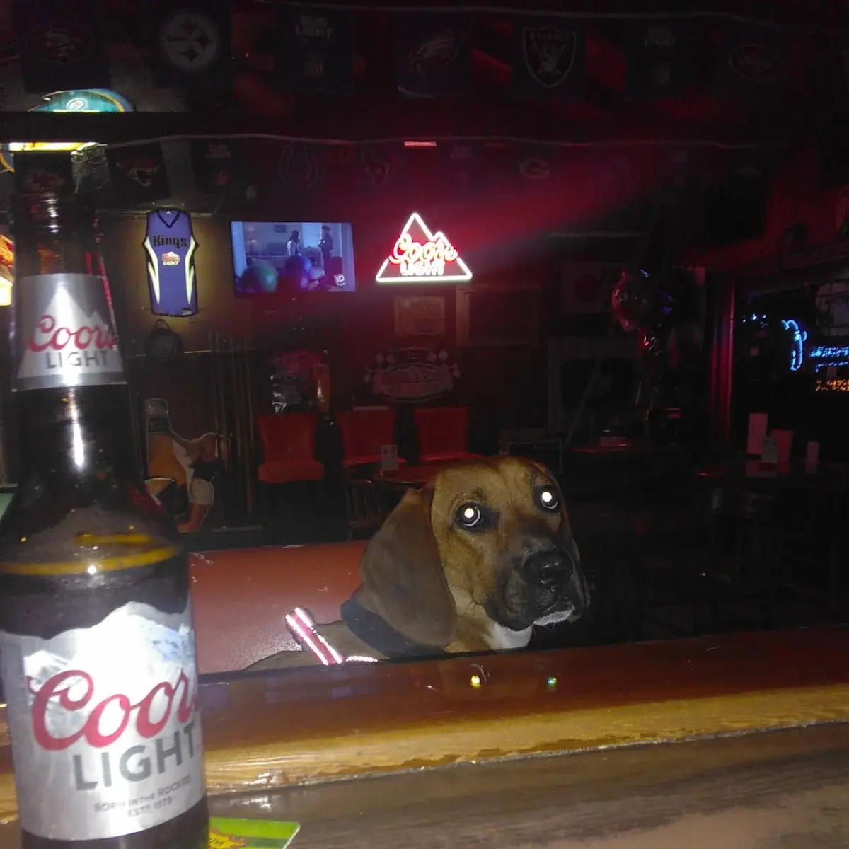 Ava N Coors Light