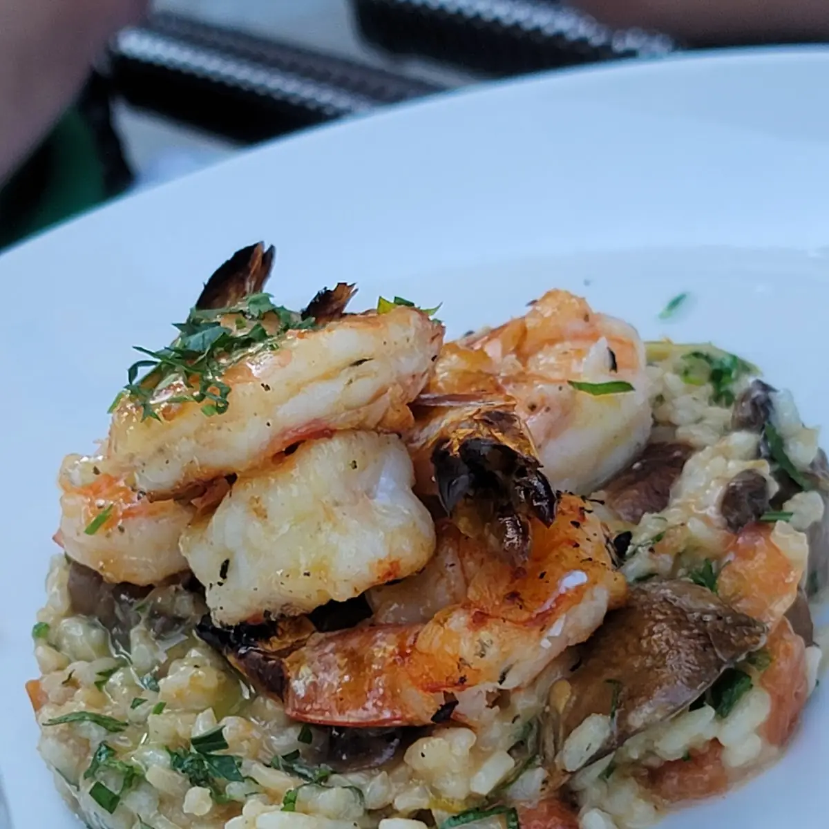 Pan Seared Scallops with Spinach Risotto