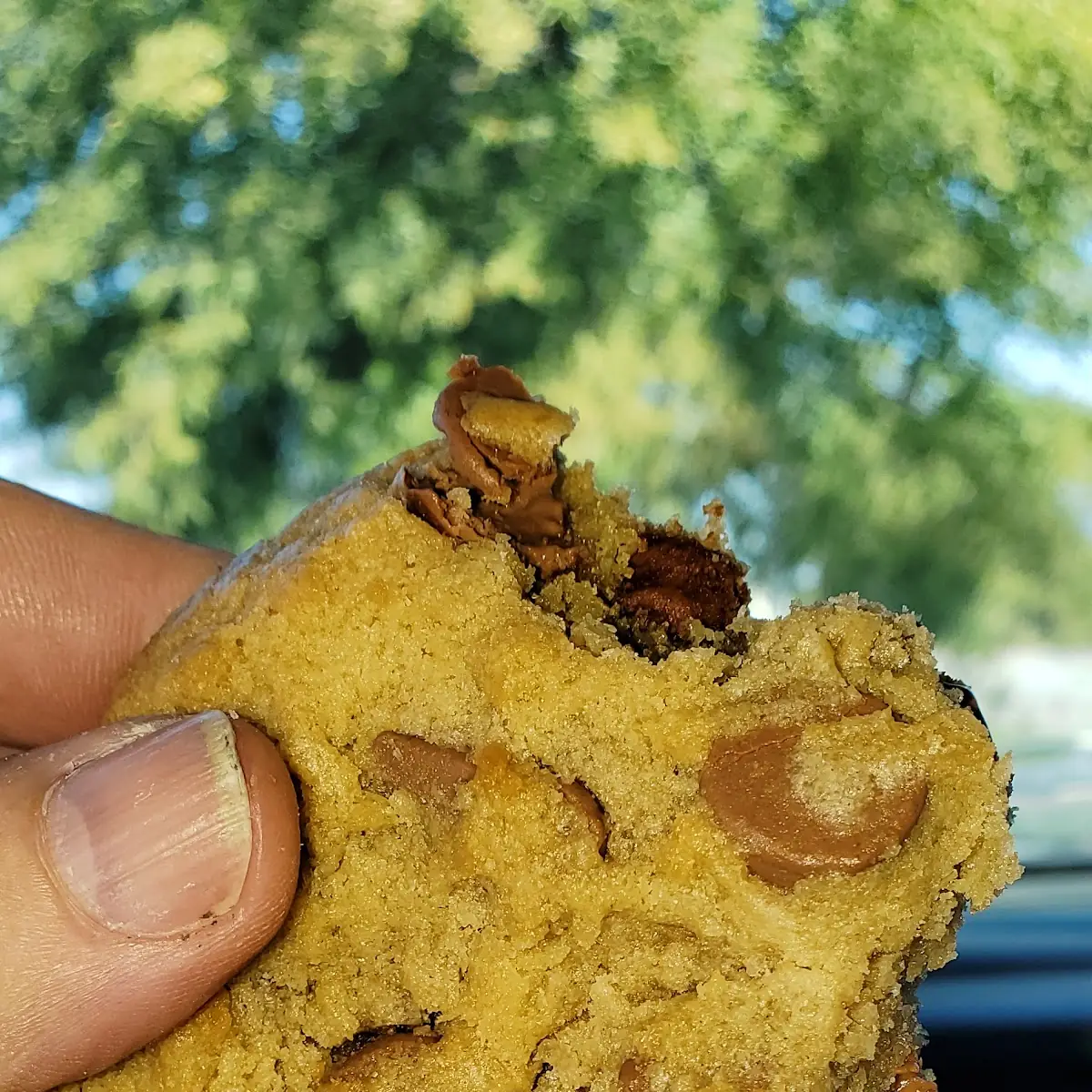 Chocolate Chip Cookie