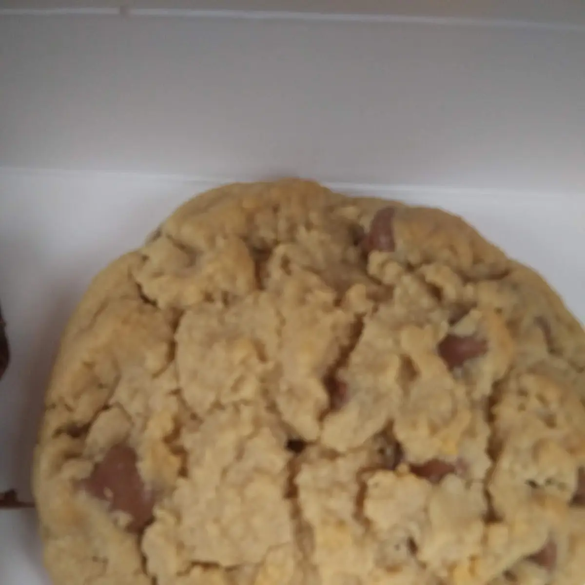Peanut Butter Cookie