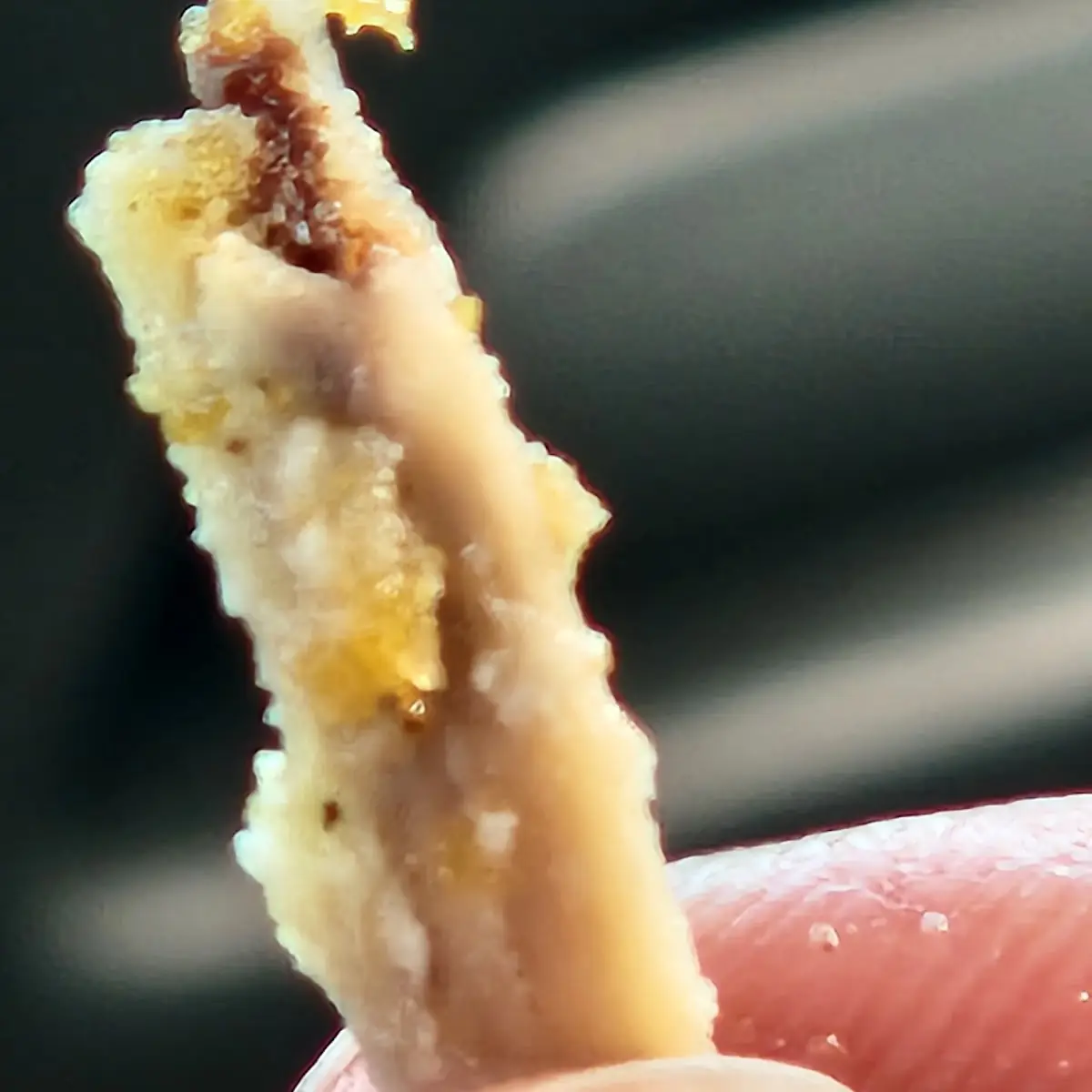 Chicken Mcnugget Chicken Bone