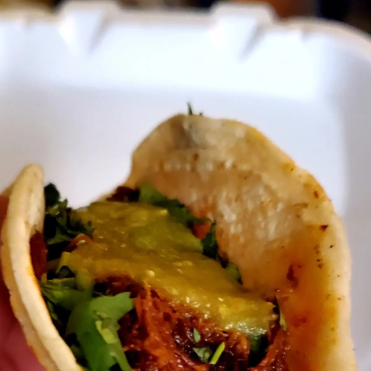 Birria Taco