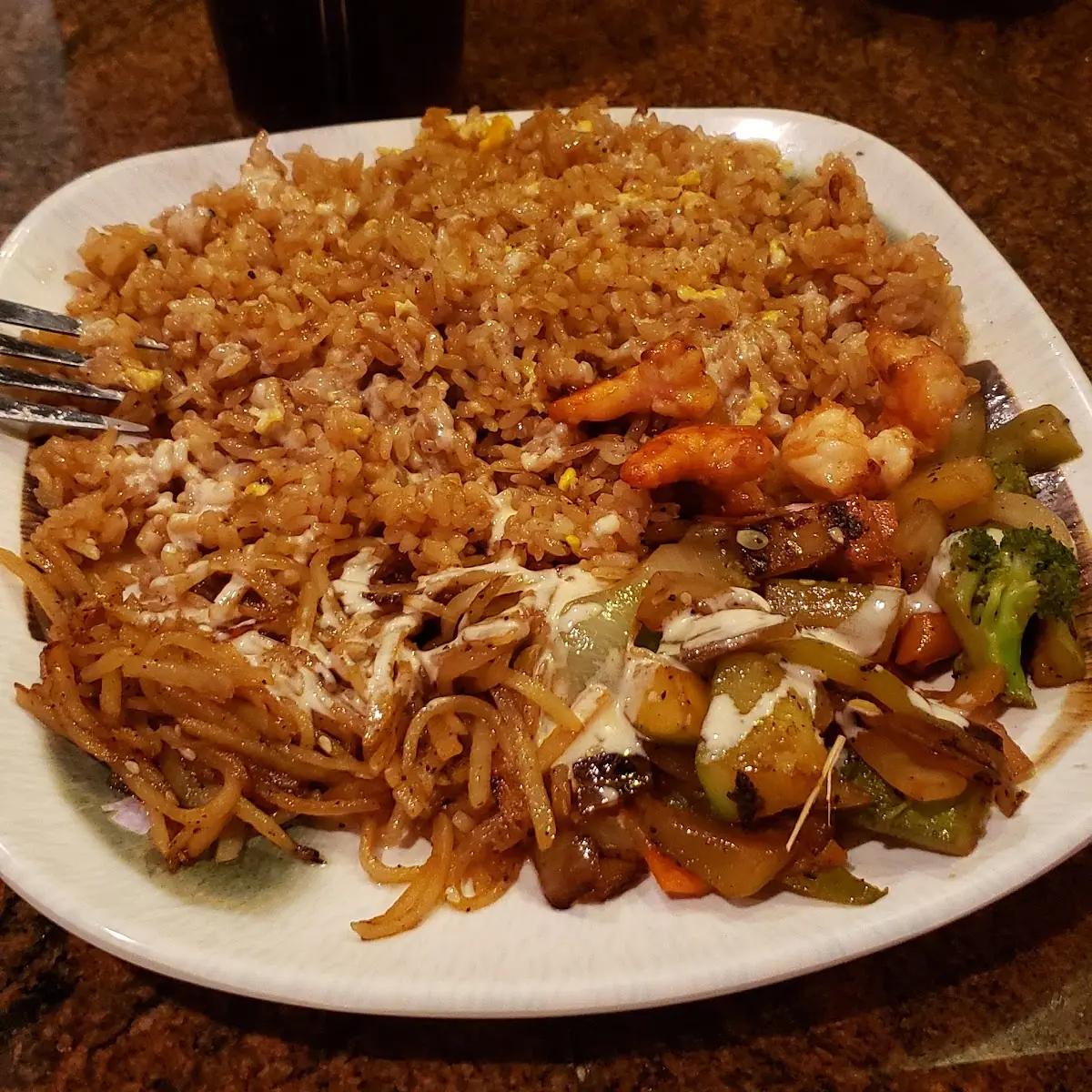 Chicken and Steak Teriyaki with Fried Rice
