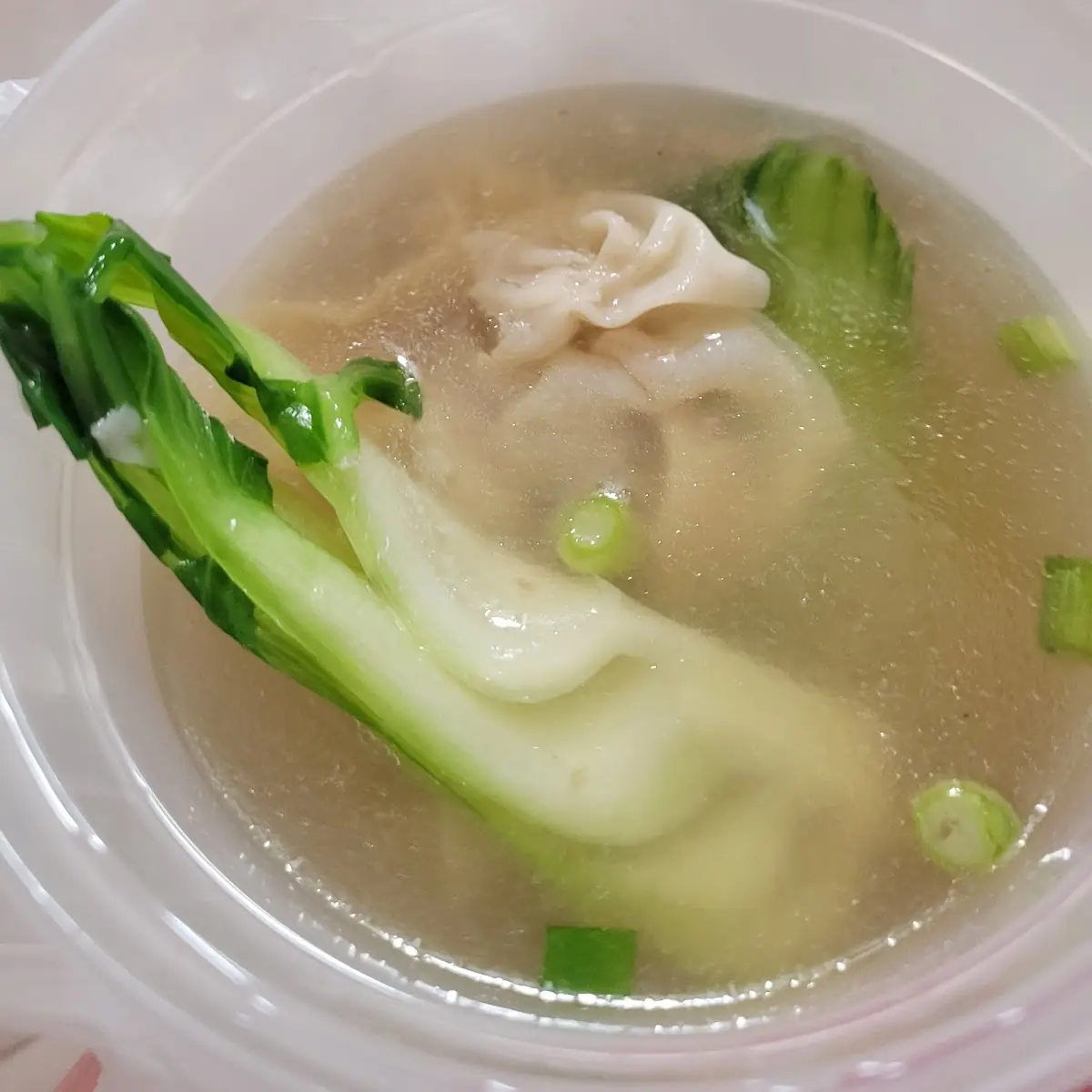Wonton Soup