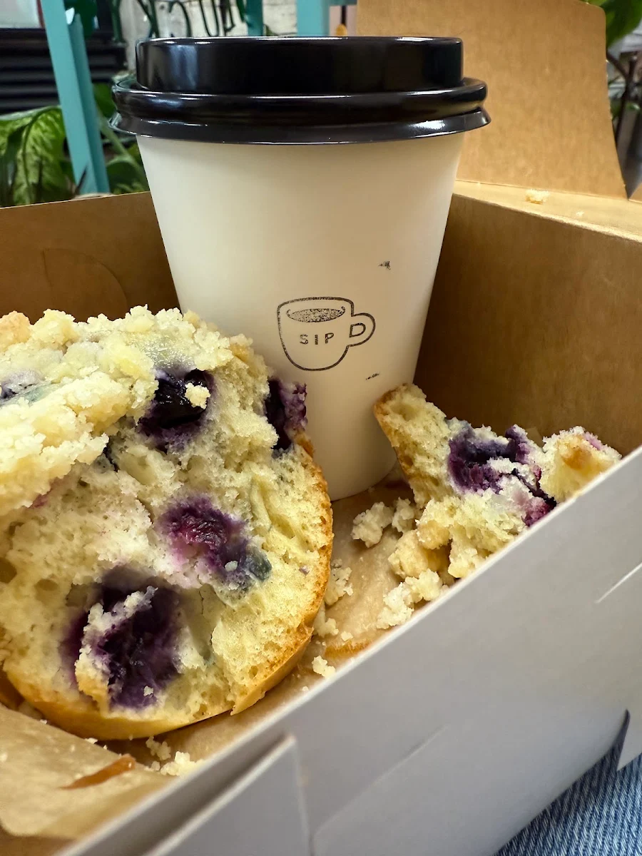 Blueberry Muffin