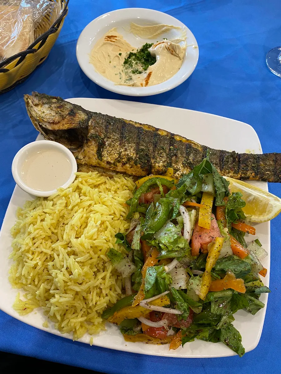 Fattoush and Rice