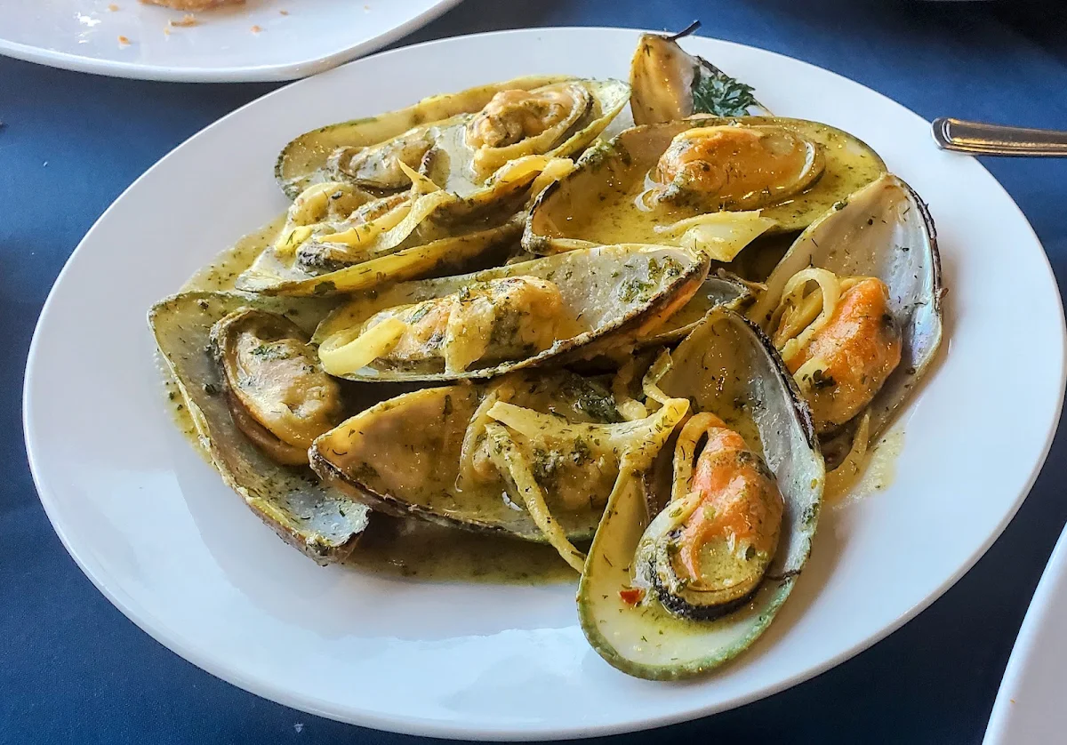 Mussels