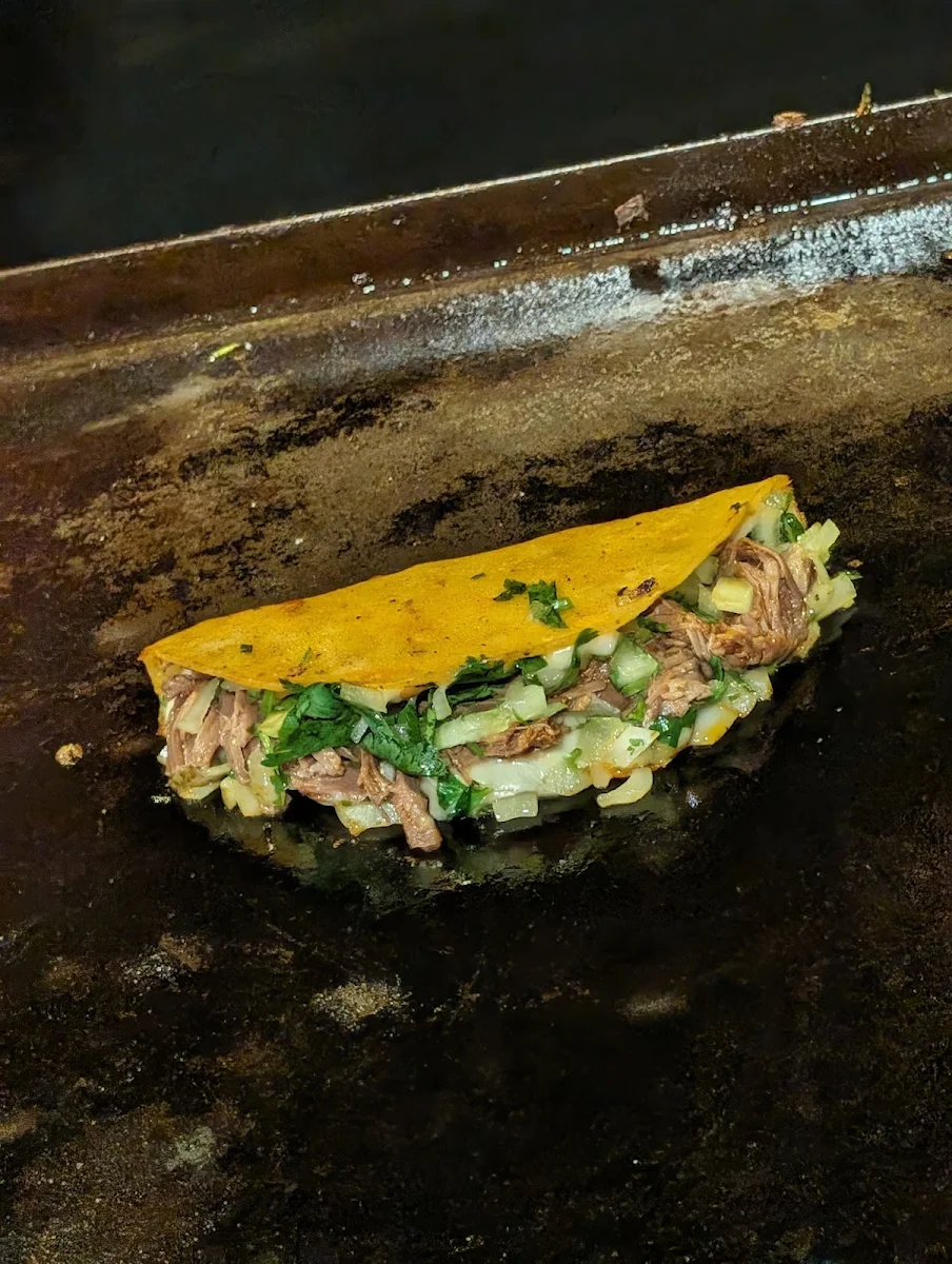 Birria Taco