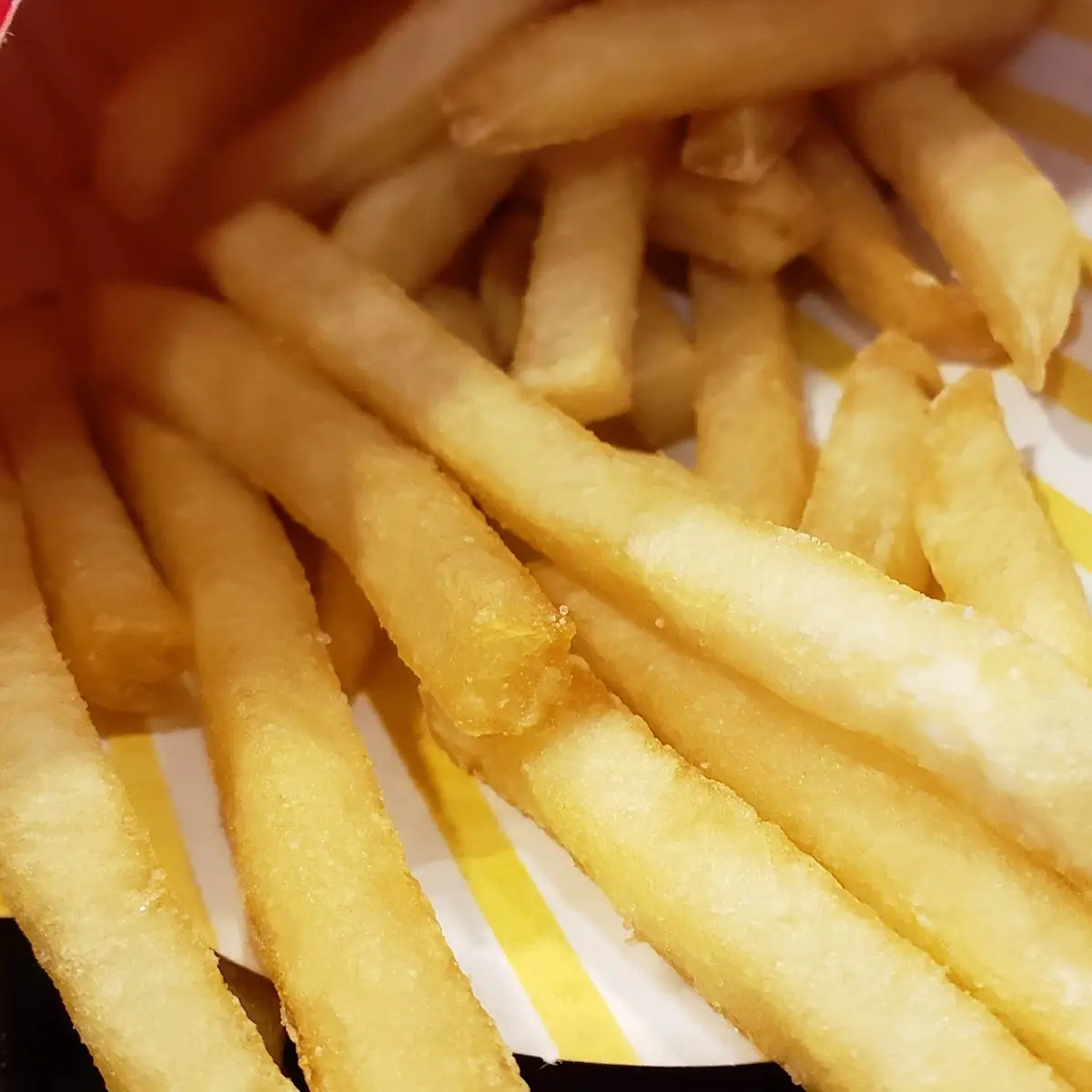 World Famous Fries