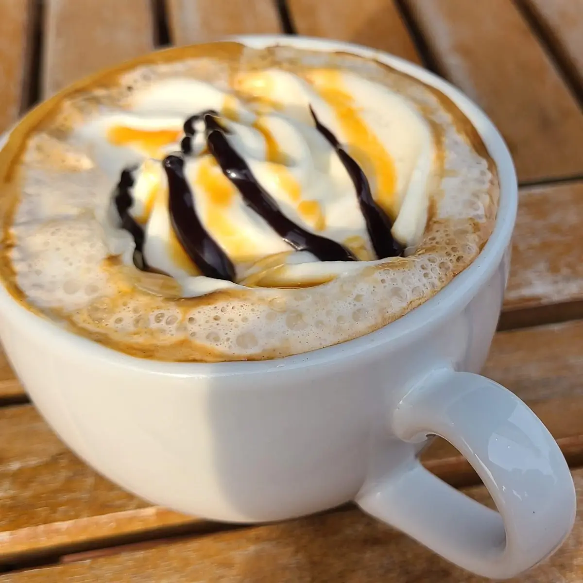 Turtle Mocha