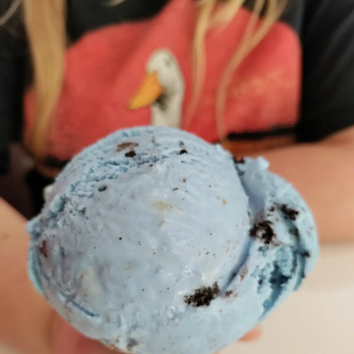 Cookie Monster