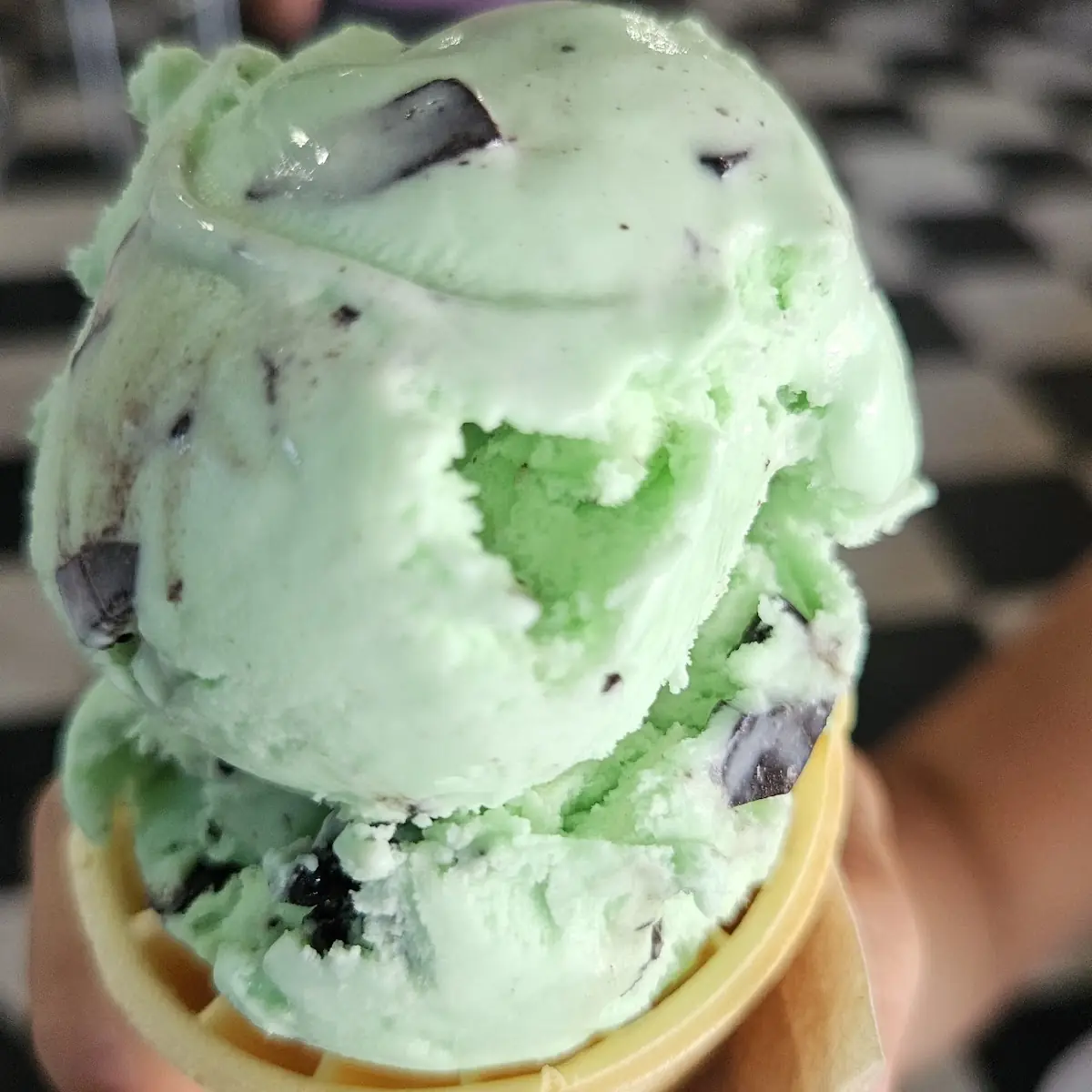 Chocolate Chip