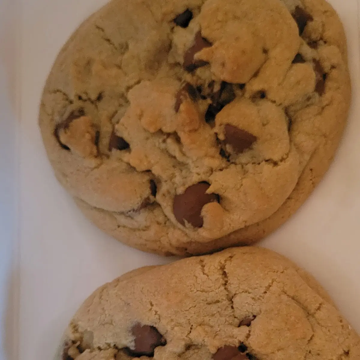 Milk Chocolate Chip Cookie