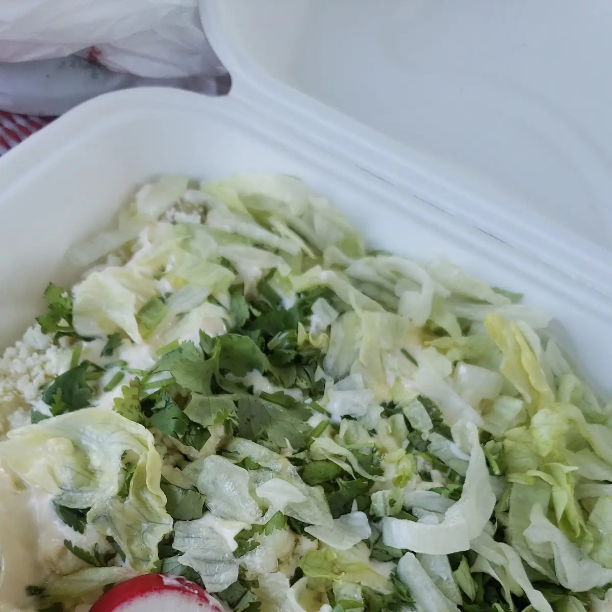 Chicken Enchiladas