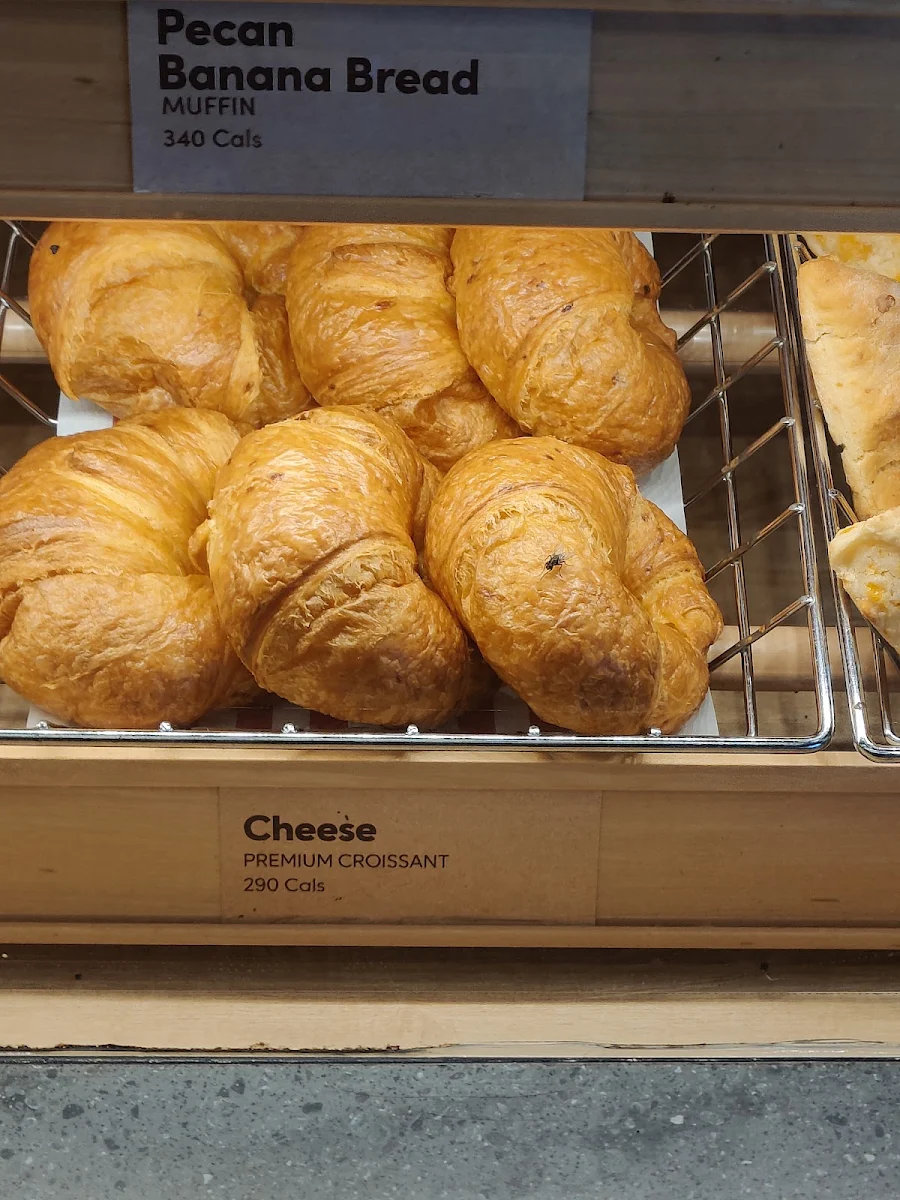 Plain Croissant