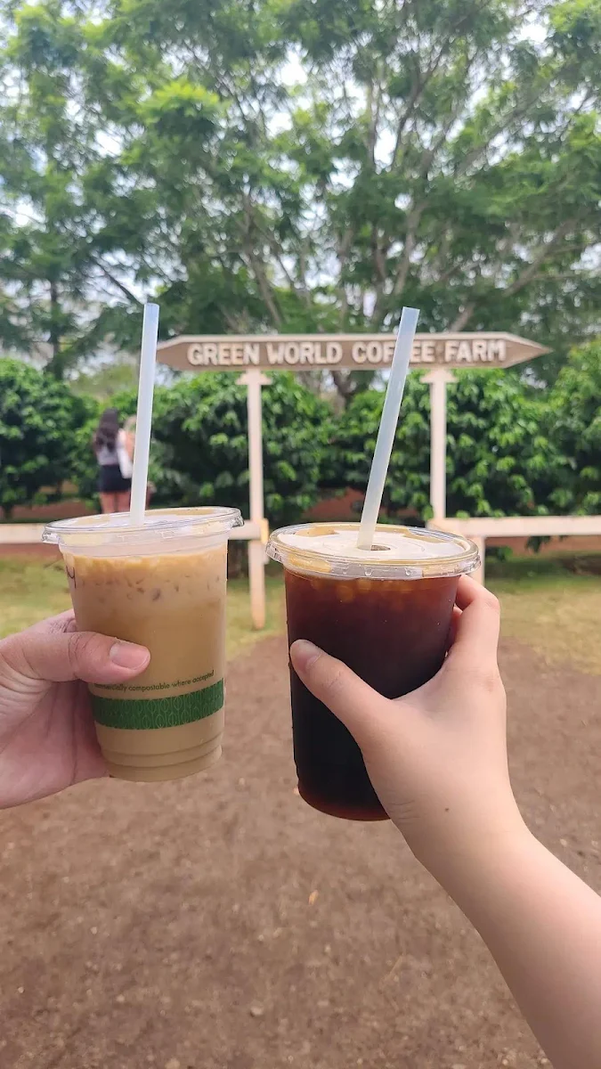 Iced Latte Iced Americano