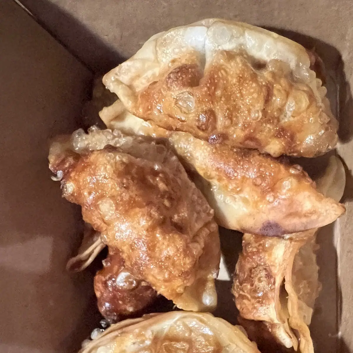 Fried Chicken Dumpling