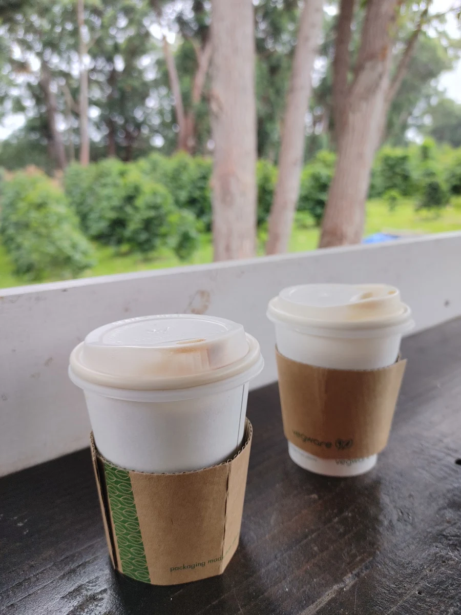 8 Oz Cappuccino