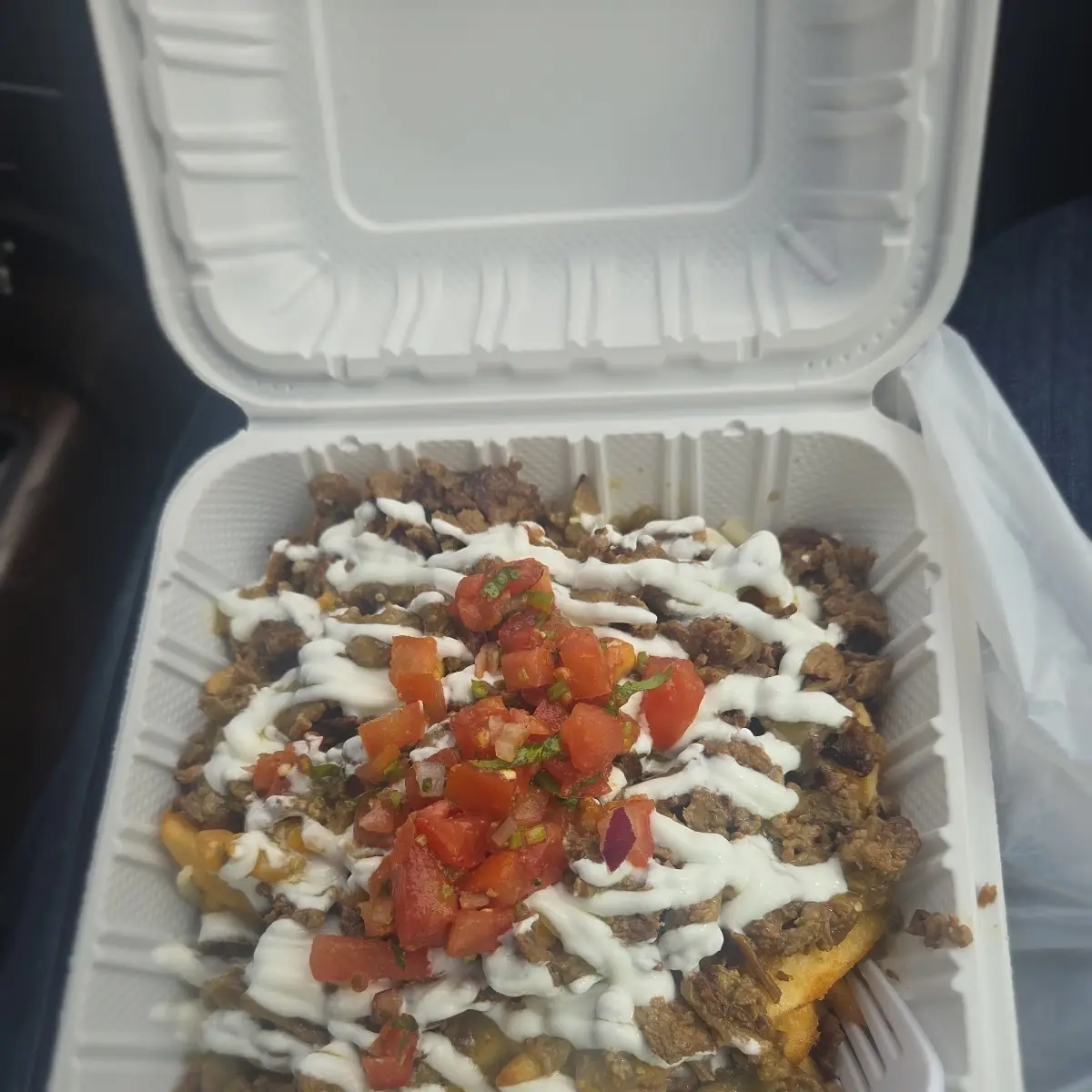 Asada Fries