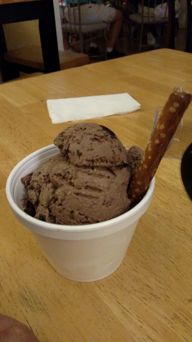 Chocolate Ice Cream