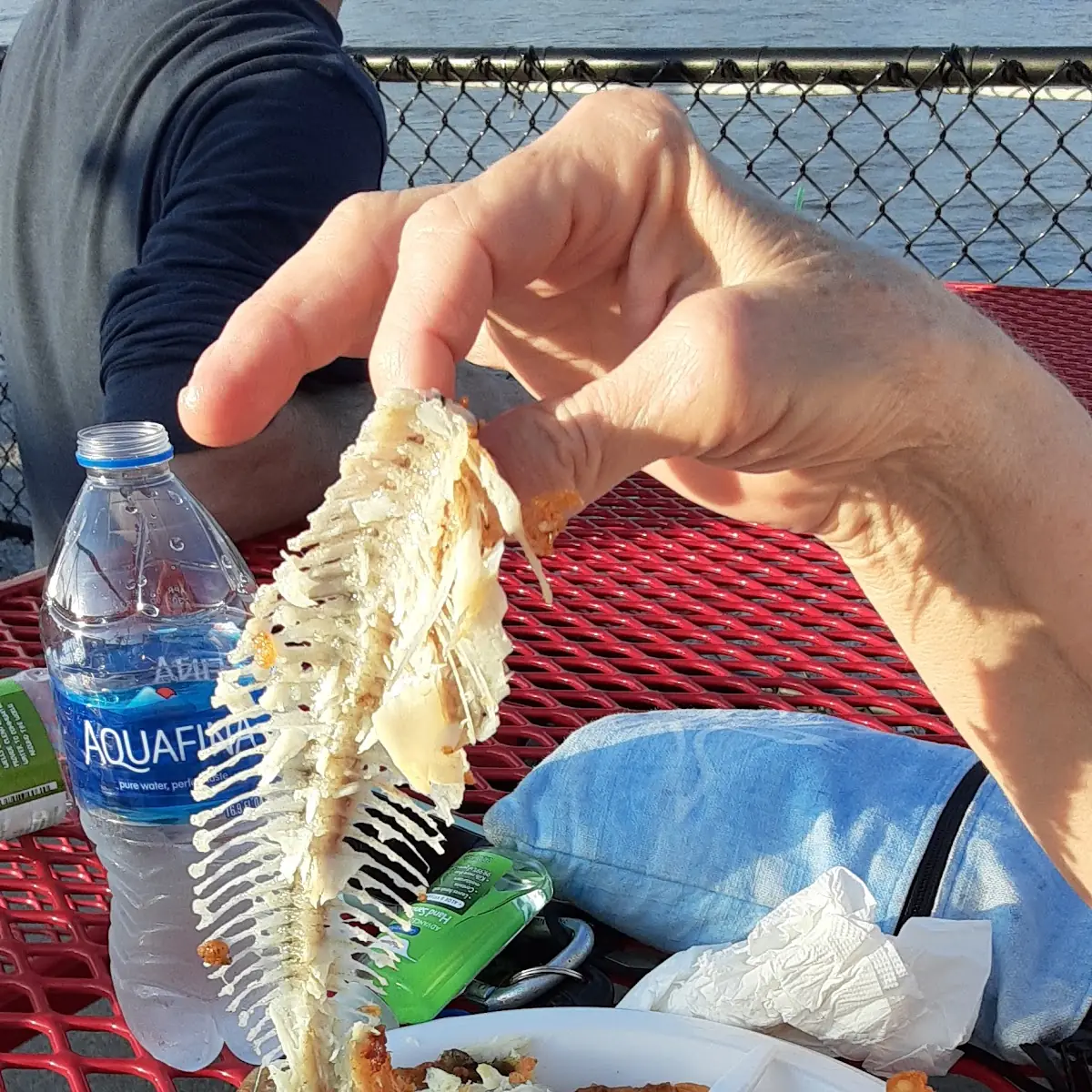 Fried Fish and Chips