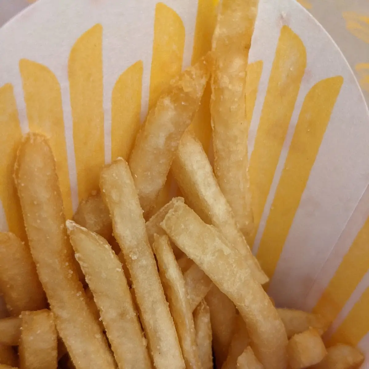 World Famous Fries