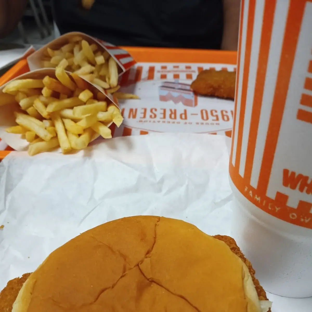 Fish Sandwich Combo