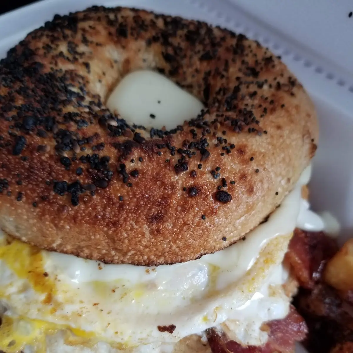 Everything Bagel with Egg Cheese and Bacon
