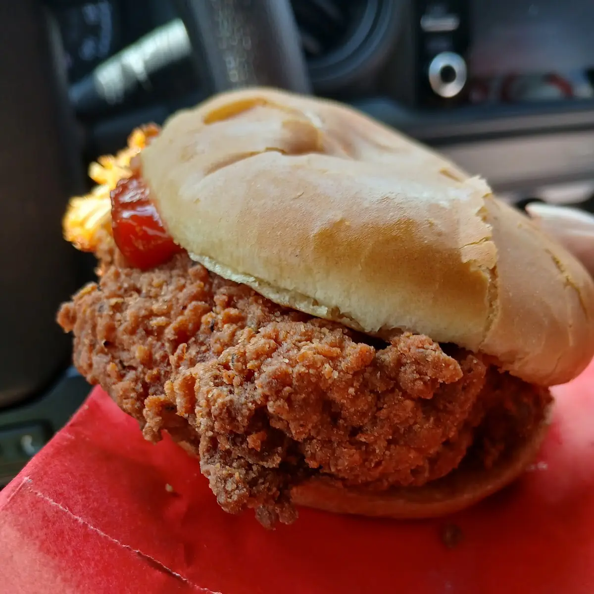 Chicken Burger Combo