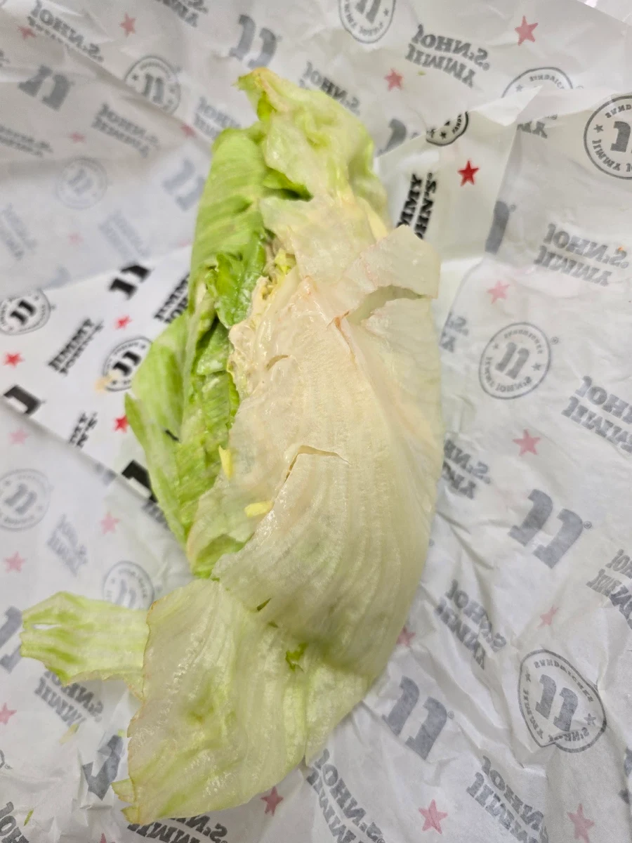Sad Looking Tuna Salad Sandwich