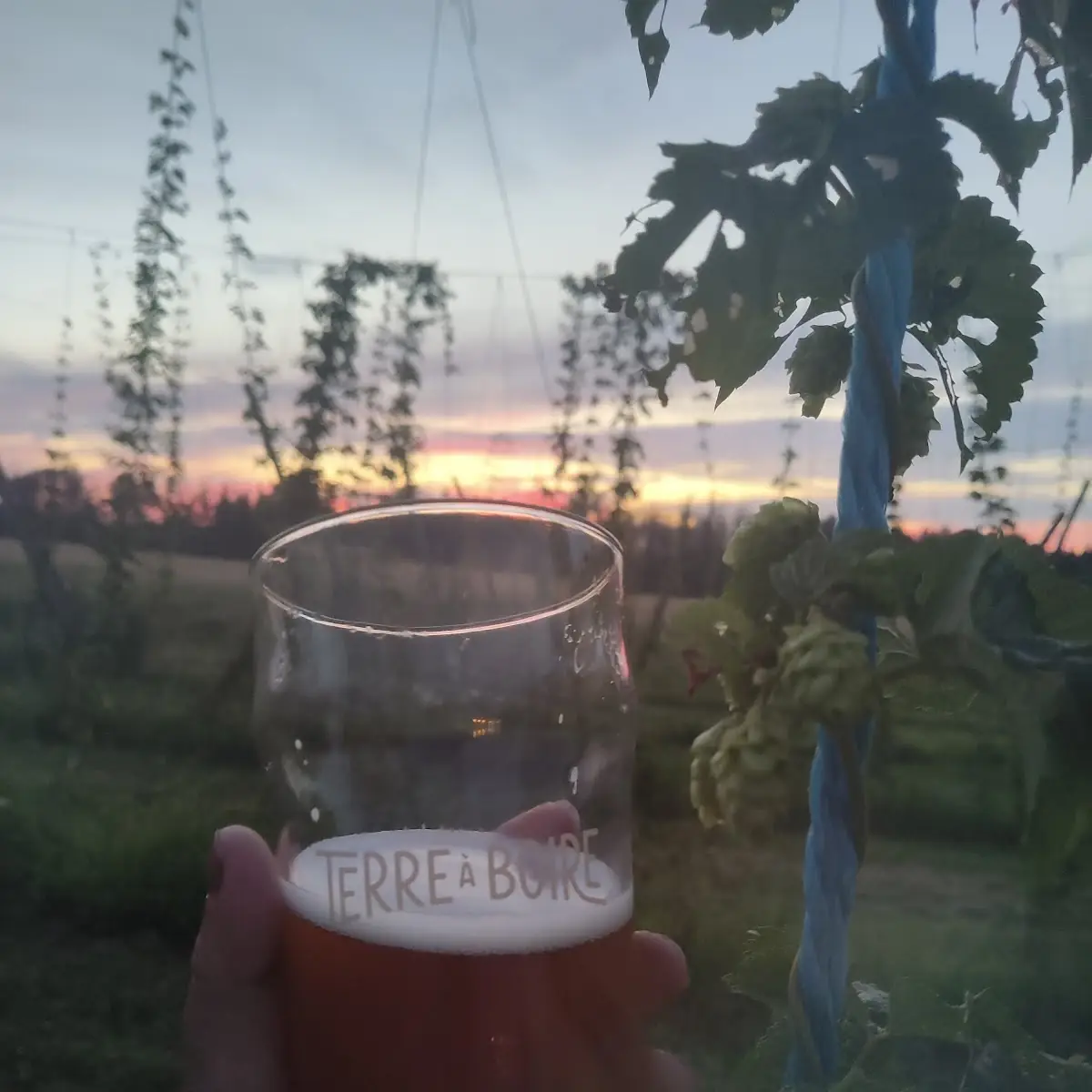 Westcoast IPA