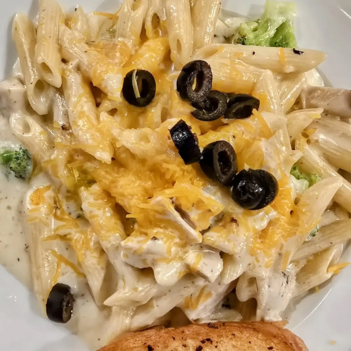 Chicken Alfredo Pasta